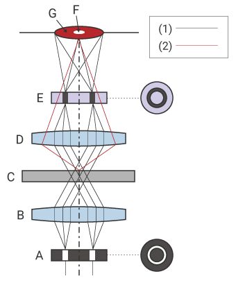 Schematic diagram of phase contrast observation