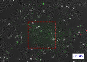 It is also possible to zoom in on a specific part.