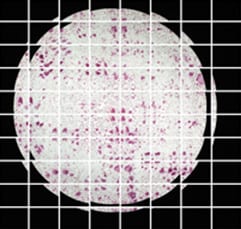 Image stitching