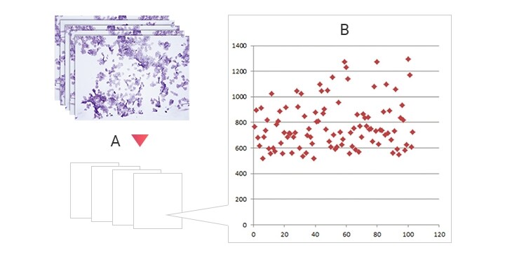 Macro quantification function