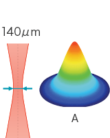 Standard model