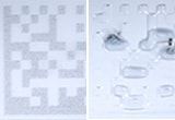 Convention model (Left: Front, Right: Back)