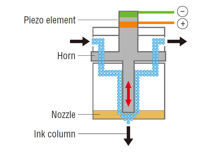 Cannon (piezo element and nozzle)
