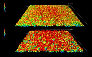 A Method for Instantaneous and Accurate Measurement of Surface Texture