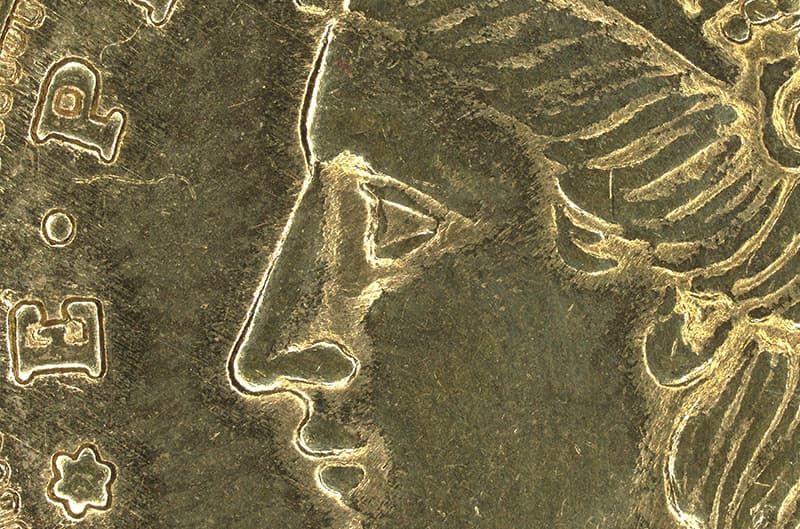 Compound Microscope Optical Microscopes Microscope Glossary KEYENCE America