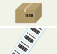 Transfer medium