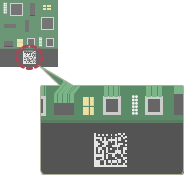Transfer medium