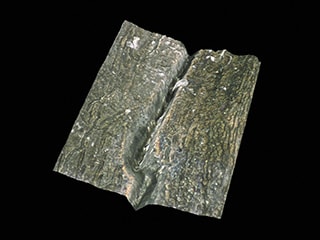 3D shape display of mold cracking (200x)