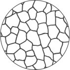 Grain size number 4