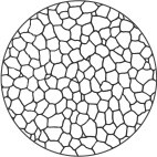 Grain size number 6
