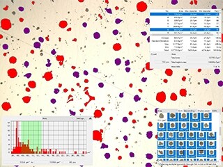 Area ratio of graphite spheroidization