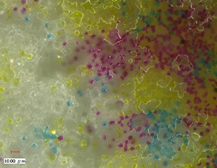 Observation and Analysis of Printer Print Quality and Components