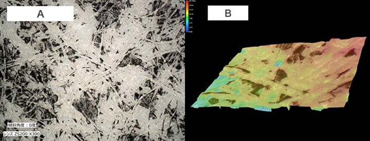 A. Analysis of reproduced sample (300x) B. 3D shape measurement of reproduced sample