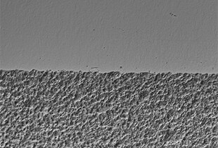 Observation of Clock Parts Using a Digital Microscope