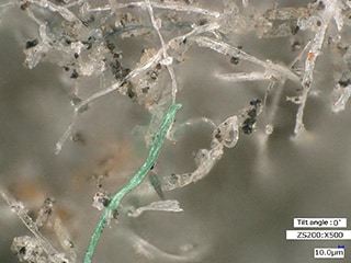 High-magnification observation of fibers (500x)