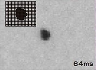 Image of a 5 megapixel camera