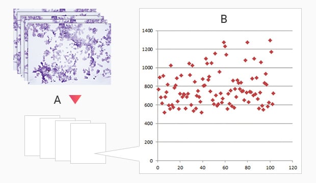 Macro quantification function