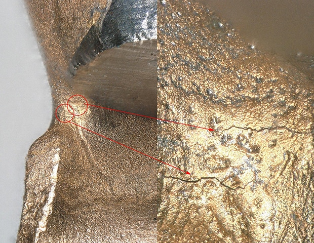 Left: standard magnification Right: high magnification
