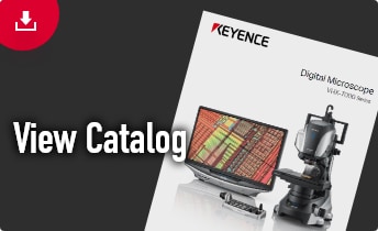 View Catalog
