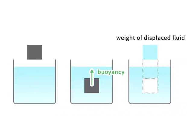 Buoyancy = weight of the displaced fluid