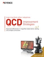 Learning from other industries QCD Improvement Strategies Vol.1