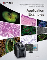 BZ-X800E Automated Fluorescence Microscope with Built-in Darkroom Application Examples