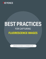 Best Practices For Capturing Fluorescence Images