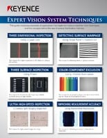 Expert Vision System Techniques