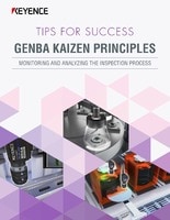 Tips For Success: GENBA KAIZEN PRINCIPLES [Monitoring And Analyzing The Inspection Process]