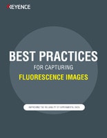 Best Practices For Capturing Fluorescence Images