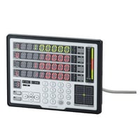 LS-D1000 - Display Panel