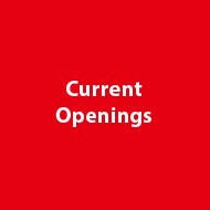 Current Openings