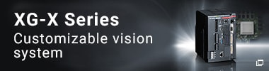 Customizable vision system